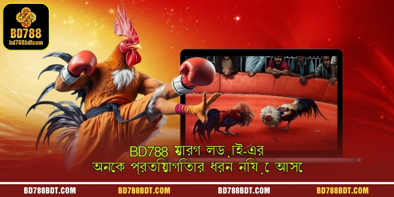 BD788 মোরগ লড়াই-এর অনেক প্রতিযোগিতার ধরন নিয়ে আসে