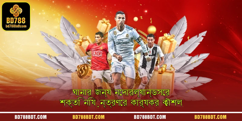 ঘানার জন্য নেদারল্যান্ডসের শক্তি নিয়ন্ত্রণের কার্যকর কৌশল